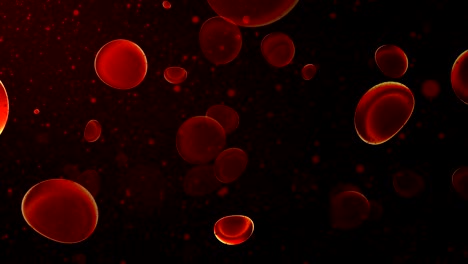 Red-blood-cells-in-travel-an-artery