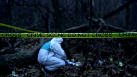 Crime-scene-in-dark-forest,-forensic-science-expert-working-with-evidence