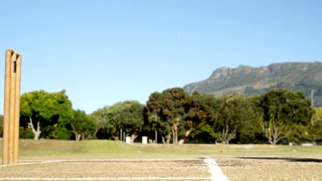 Bowler-liefert-Ball-während-Cricket-match