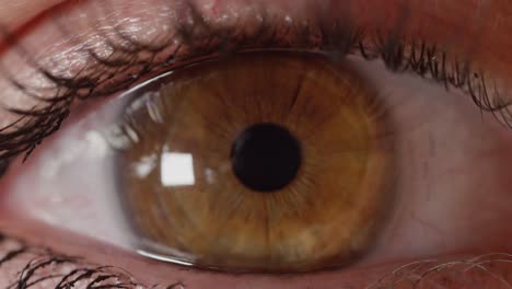 SLOW-MOTION-CLOSE-UP:-Unkenntlich-Frau-mit-braunen-Augen-blicken-in-Ferne.