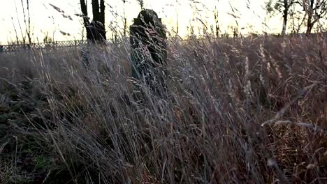 Walking-on-Antique-Jewish-Cemetery-at-Sunrise-with-Steadicam