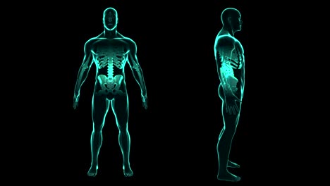 X-ray-human-body-scan.