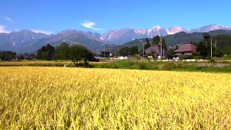 Japanische-Landschaft