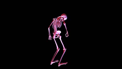 Animation-of-a-posing-Skeleton