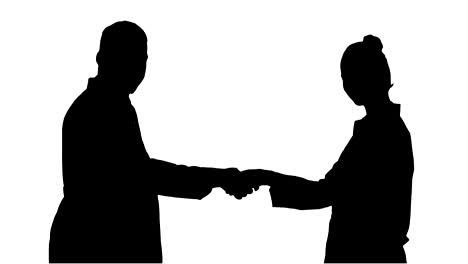 Silhouette-Doctors-shaking-hands-and-posing-to-camera