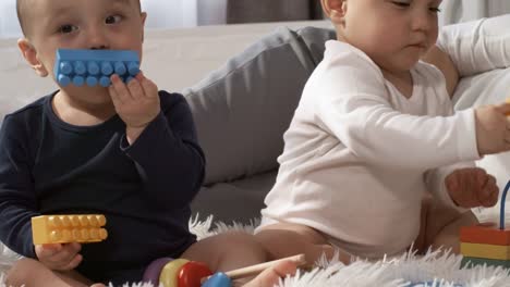 Teething-Asian-Twins-Playing-with-Toys