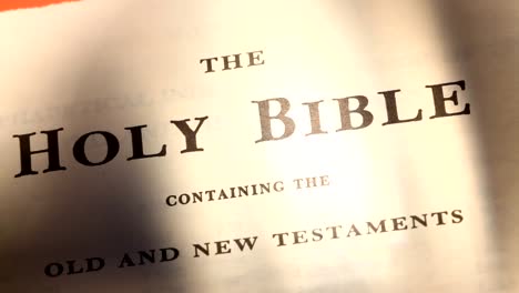 Holy-Bibel-