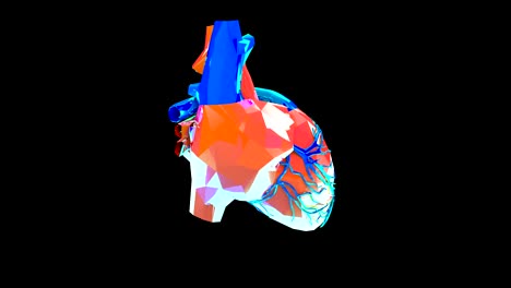 Máquina-de-investigación,-creación-de-organismos-de-cyborg,-corazón,-órganos-humanos-artificiales