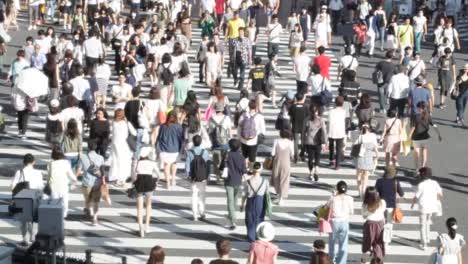 calle-del-cruce-de-Shibuya-en-Tokio