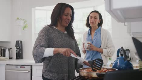 Mujer-de-mediana-edad-de-pie-en-la-cocina-cocinando,-su-hija-adulta-de-pie-junto-a-ella-hablando