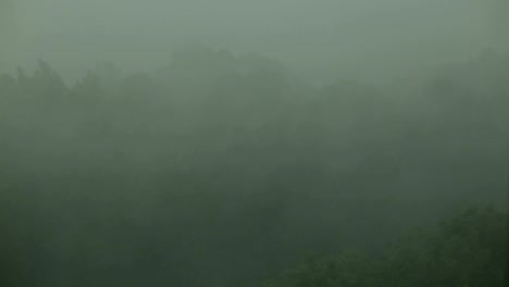 Viento-y-lluvia-sacude-los-árboles.-Huracán.