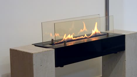 Modern-bio-fireplot-fireplace-on-ethanol-gas.-Smart-ecological-alternative