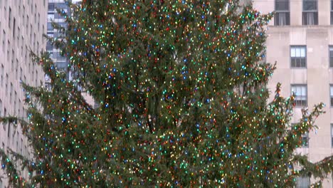 Close-Up-Detail-Video-of-The-Christmas-Tree-in-Rockefeller-Center-With-Large-Groups-Of-Tourists