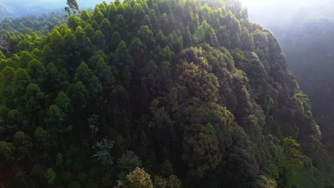 Luftaufnahme-von-Wäldern-Berggipfel,-4k