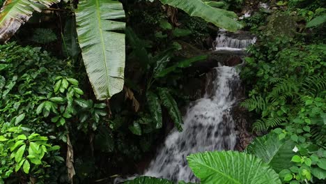 Luftaufnahme-des-Wasserfalls-in-den-tropischen-Regenwald-Bergen