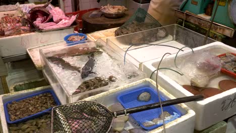 live-seafood-for-sale-at-fa-yuen-market-in-hong-kong