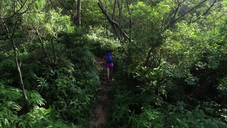 Frau-Wanderer-zu-Fuß-auf-einem-Wanderweg-im-Wald