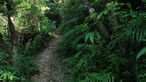 Frau-Wanderer-zu-Fuß-auf-einem-Wanderweg-im-Wald