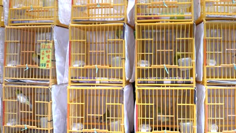 square-bird-cages-at-mongkok-bird-market-in-hong-kong