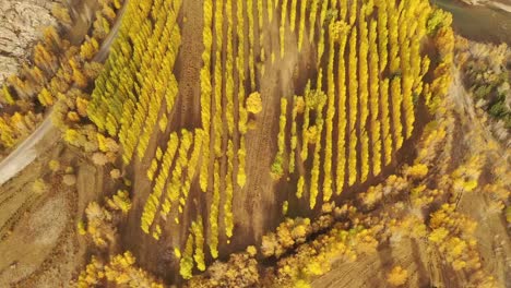 Landschaft-der-Hemu-Dorf,-Xinjiang,-China