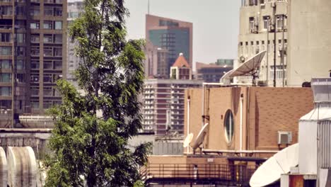 Fantastischen-Blick-über-Shanghai-Stadtzentrum-entfernt-im-Juli-2018.