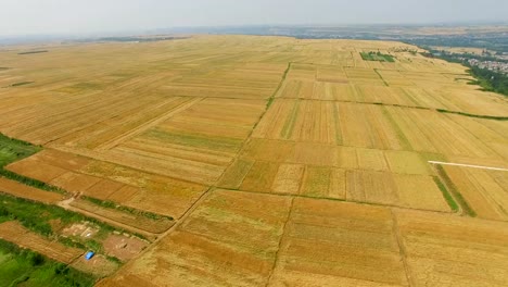 Luftaufnahme-von-Weizen-Feld-und-Dorf,-Xi-\'-an,-China.