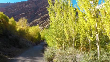 Landscape-Around-Hemis-Village-,-Leh-Ladakh-,-India