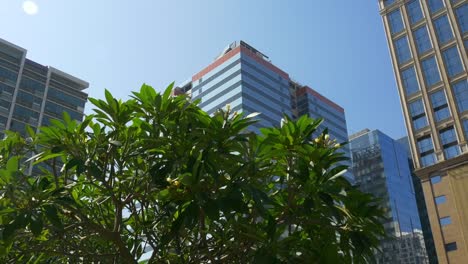 china-sunny-day-macau-city-downtown-office-building-front-reflection-panorama-4k