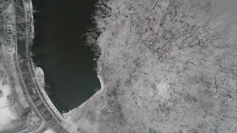 Un-coche-en-el-bosque-en-un-día-de-nieve