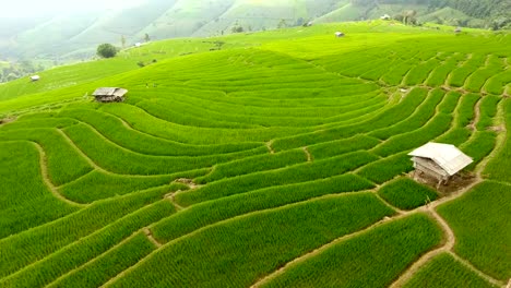 Rice-field-terrace-on-mountain-agriculture-land.