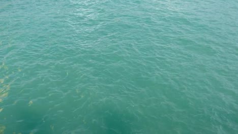 Green-Sea-Water-Background