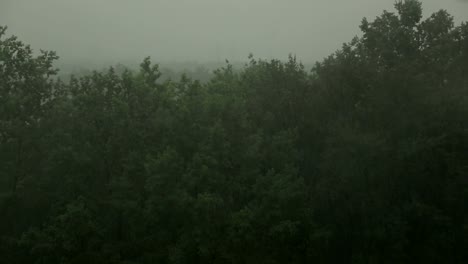 Starker-Regen-und-Wind-schüttelt-die-Bäume.-Hurrikan.