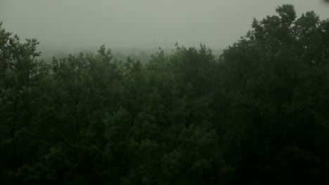 Heavy-rain-and-wind-shakes-the-trees.-Hurricane.