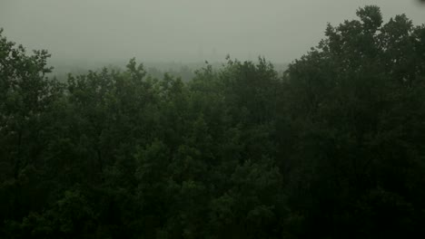 Starker-Regen-und-Wind-schüttelt-die-Bäume.-Hurrikan.