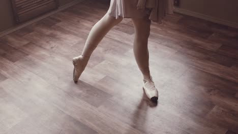 Danza-ballet-hermosas.