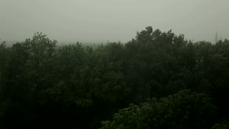 Starker-Regen-und-Wind-schüttelt-die-Bäume.-Hurrikan.-Sehr-starke-Sommergewitter.