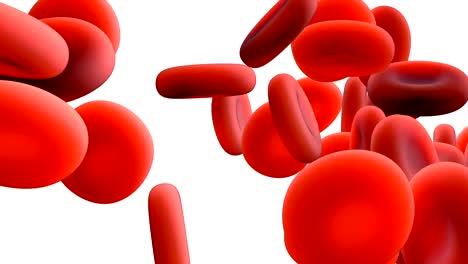 Red-blood-cells-circulating-in-the-blood-vessels-with-Alpha-Mask