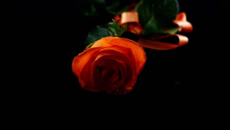 The-falling-rose-and-satin-ribbon-on-a-black-background.-Slow-motion.