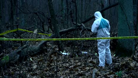 Forensic-expert-working-at-crime-scene-in-forest,-inputting-data-on-tablet