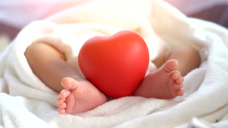 Bebé-recién-nacido-moviendo-el-pie-y-el-corazón-rojo-en-la-luz-hermosa-sobre-fondo-blanco