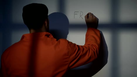 Caucasian-male-prisoner-writing-Freedom-on-cell-wall,-asking-for-help,-protest