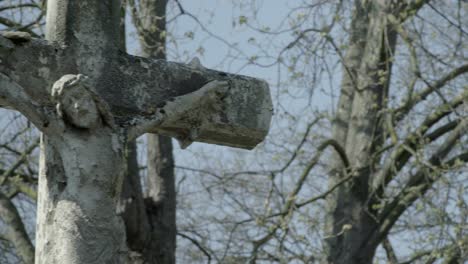 Alter-Grabstein-mit-Jesuskreuz-an-einem-sonnigen-Frühlingstag.-Schwenken-Sie-von-rechts-nach-links-vorbei-durch-das-Kreuz.-4K-in-SLOG3.-Mittlerer-Schuss.