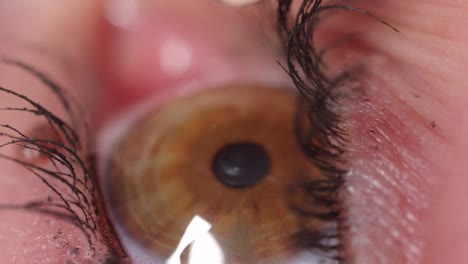 SLOW-MOTION-CLOSE-UP:-Brown-eye-flinches-when-drop-makes-contact-with-dry-cornea