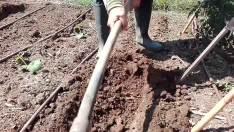 Digging