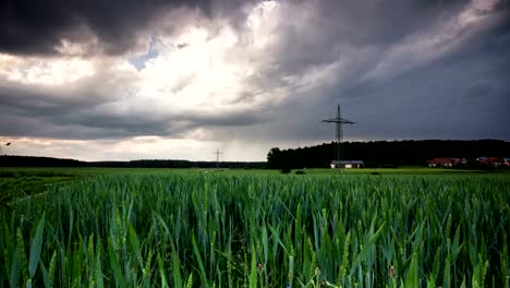 Time-Lapse-Gewitterwolken-verschieben-über-frische-Weizenfeld-auf-einem-schönen-Sommer-Abend-Landwirtschaft-Bauernhof-in-Deutschland