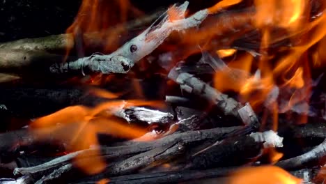 roja-de-la-llama-de-un-fuego-moribundo-en-un-día-de-verano