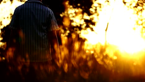 Männer-sind-den-Baseball-Spieler-mit-dem-Sonnenuntergang-schlagen.