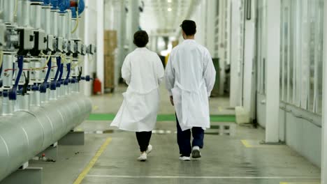 Rear-view-of-two-scientists,-man-and-woman,-walking-along-corridor-in-modern-agricultural-complex-and-talking,-follow-shot