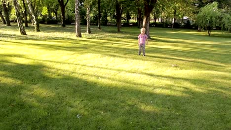 A-little-boy-playing-football-in-a-Sunny-Park-on-the-green-grass.