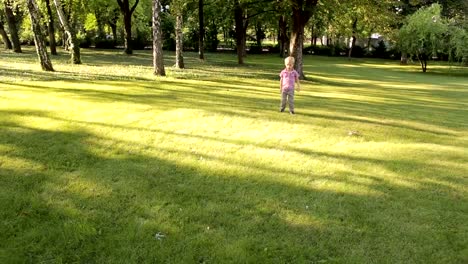 Ein-kleiner-Junge-spielt-Fußball-in-einem-Sunny-Park-auf-dem-grünen-Rasen.